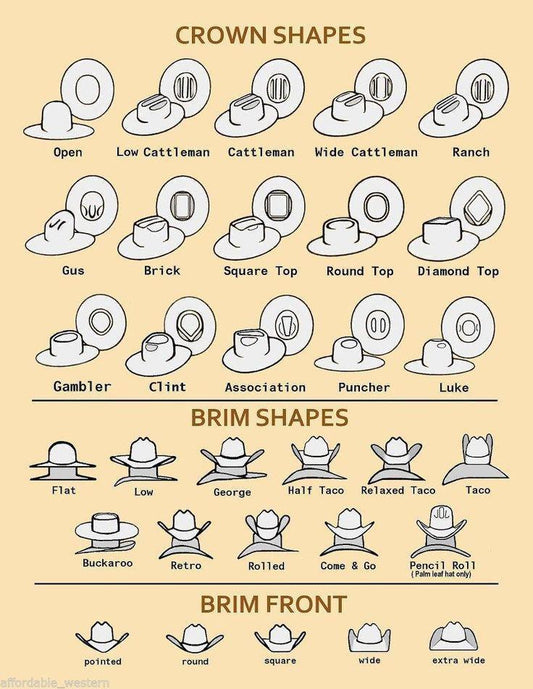 Rodeo King 7X | Buckskin